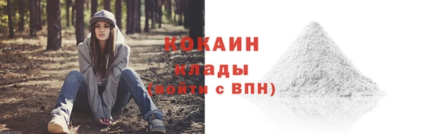 метадон Дмитриев