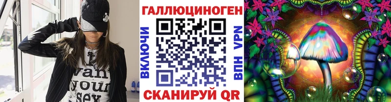 купить наркотик  Заволжье  mega tor  Псилоцибиновые грибы Psilocybine cubensis 