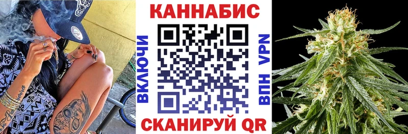 Конопля OG Kush  Заволжье 